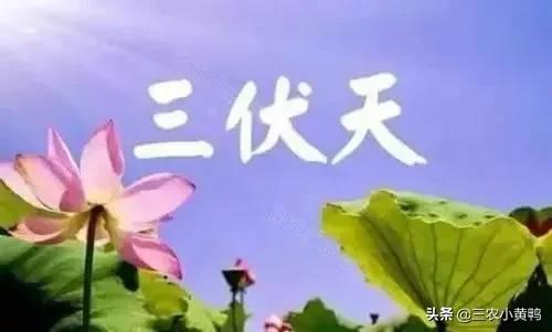 2022年三伏天日历表：几月几号入伏？共有几天？为啥中伏最热？