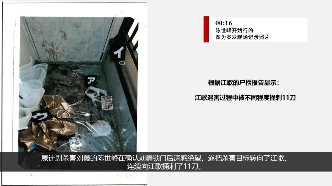 江歌妈妈诉刘鑫案律师代理词