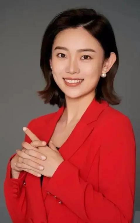 央视《远方的家》众主持人风采