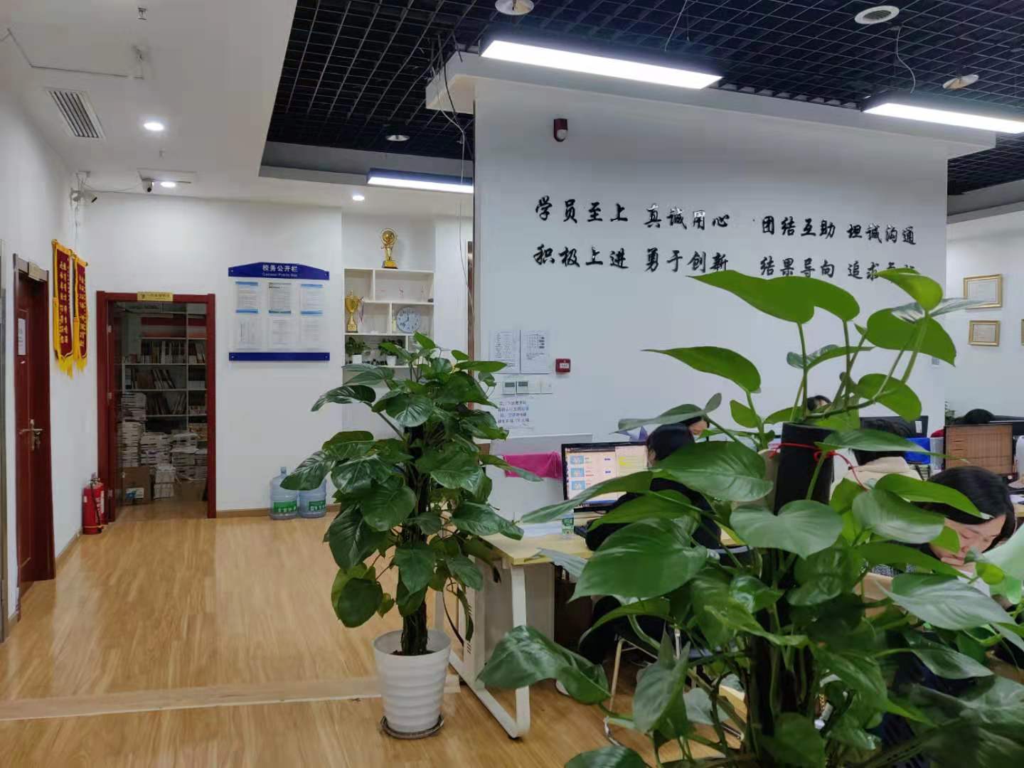 成人高考有学籍吗，不知道怎么查询？赶紧来看