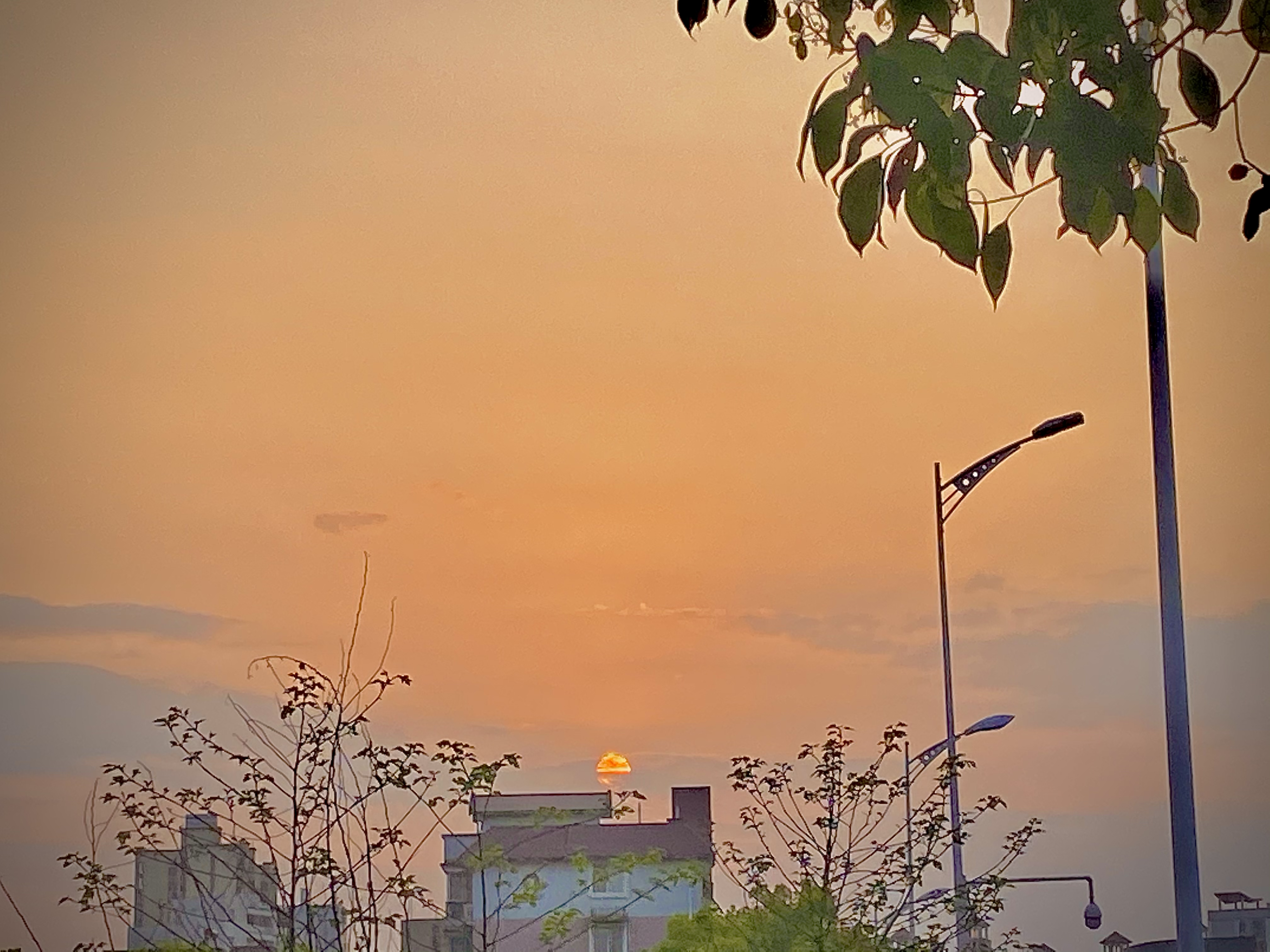 考研：适合女生报考的7个专业