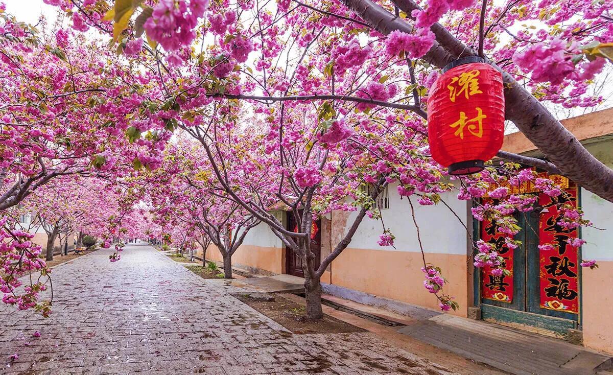春天，去烟台蓬莱阁等十一大旅游景点会让你留恋往返，目不暇接