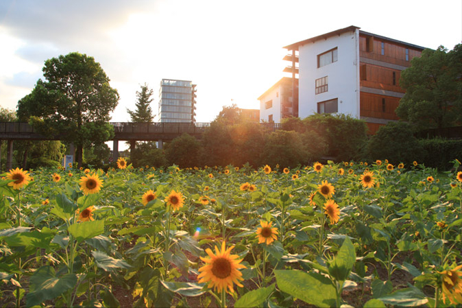 中国美术学院校考22日开始报名，2022年招生简章释放了哪些信息？