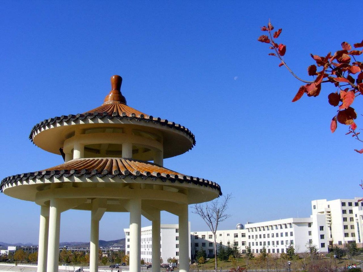 泰山学院有60多个本科专业,有1个山东省文化艺术科学重点学科,有2个