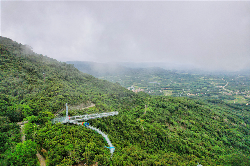 自驾海南，探寻雨林秘境，黎族村落到茶园深处，4天3晚游玩全攻略