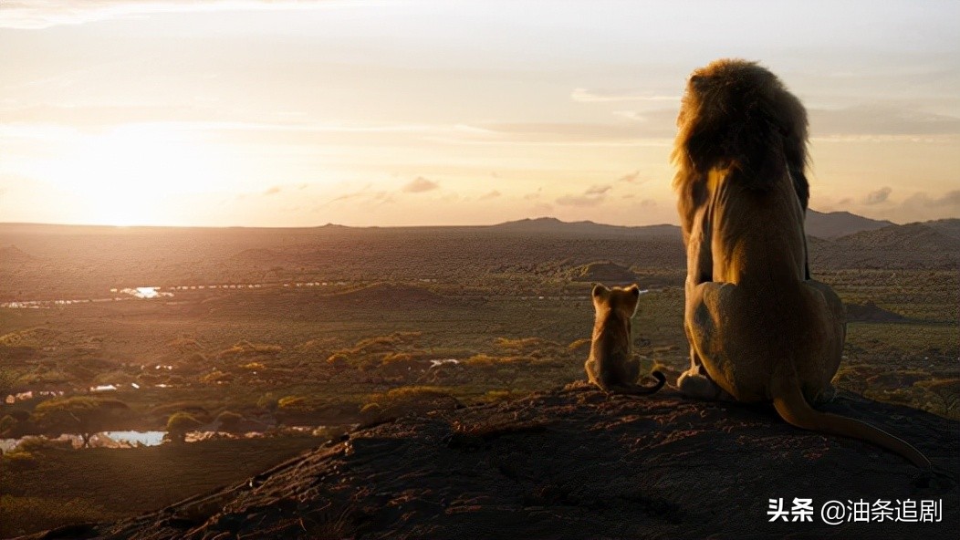 狮子王电影剧情有何变化「详细介绍」 _晶羽科技