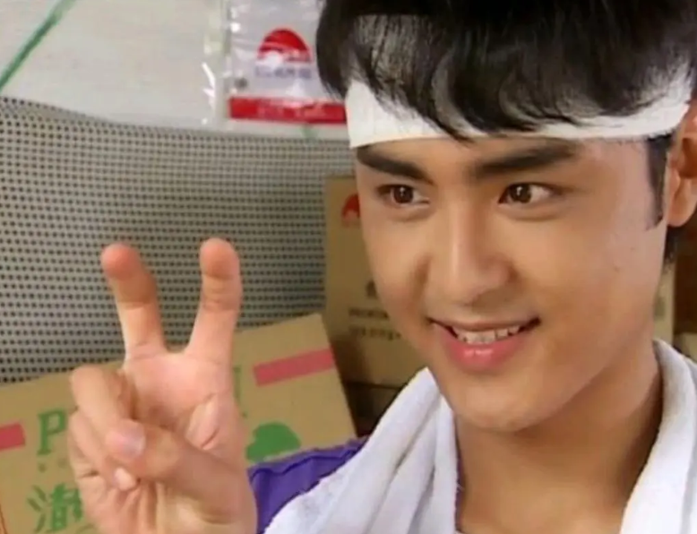 收视最高的10部台湾偶像剧：《天国的嫁衣》第9，《流星花园》第2