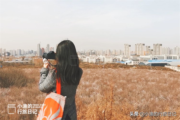 一座建在古墓上的城市，三月美成了桃花源！花开正好没门票，去浪