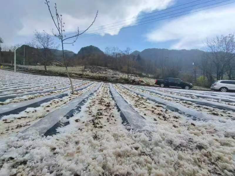 冰雹+雷暴大风+强降水 2小时内重庆巫溪、巫山请注意防范