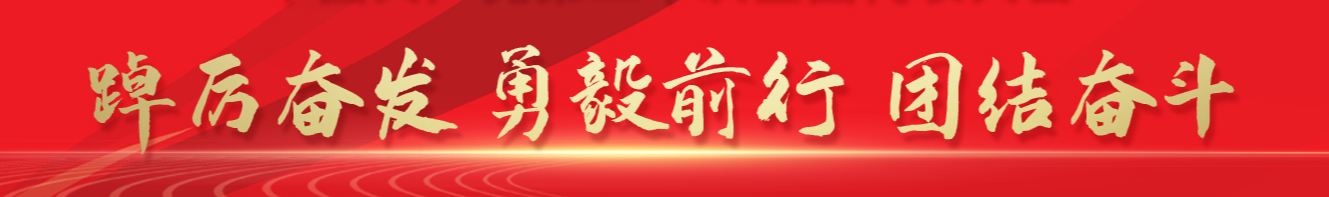 保定南二环今日价格「保定油价今日价」