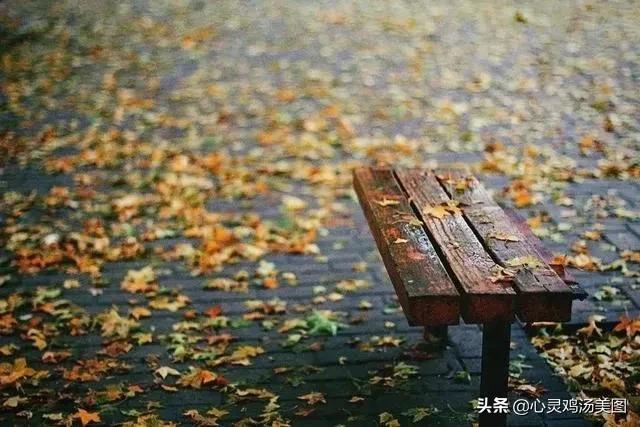 下雨的唯美图片