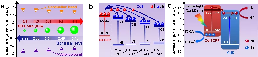 天津工业大学｜超薄2D MOF纳米片敏化的CdS量子点异质结光催化剂