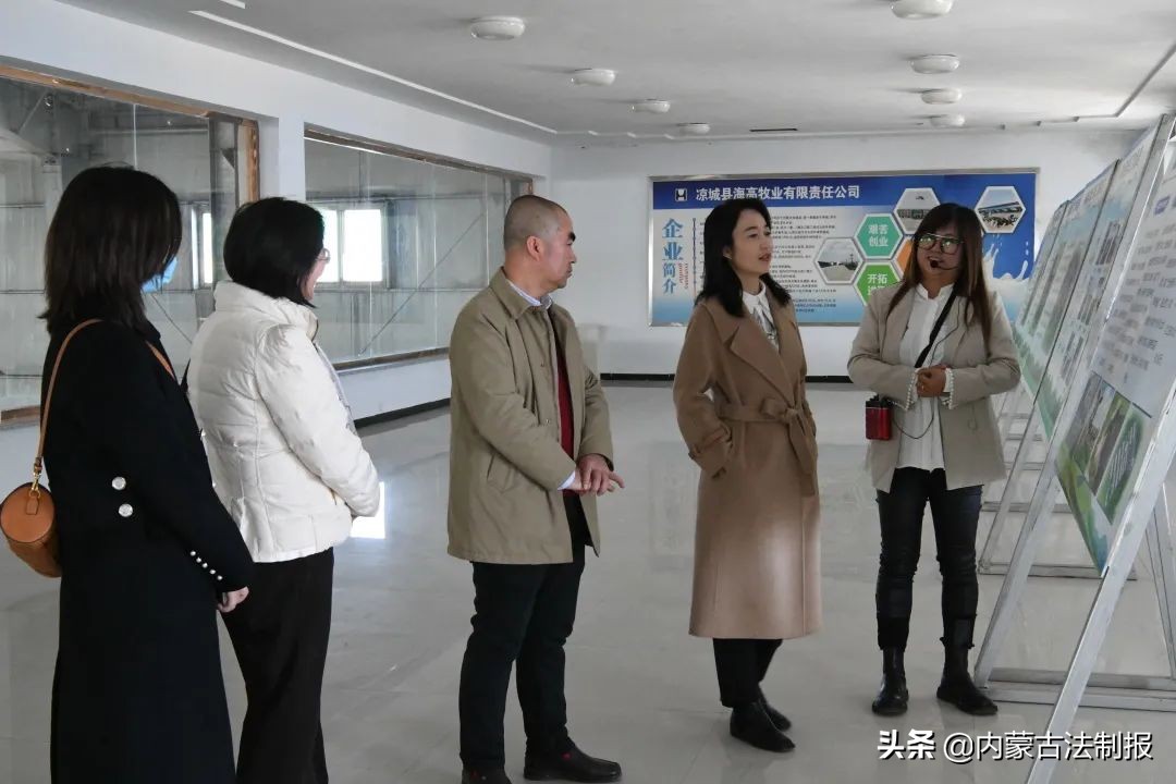 優(yōu)化法治化營(yíng)商環(huán)境 助力民族奶業(yè)振興——烏蘭察布市涼城縣檢察院檢察長(zhǎng)孫芳一行調(diào)研走訪海高牧場(chǎng)