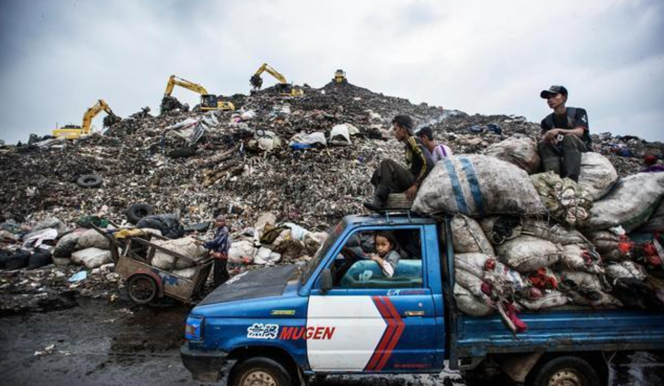 一亩有多少个篮球场(印度"垃圾山":有比人高的巨鸟,人们宁愿捡垃圾也