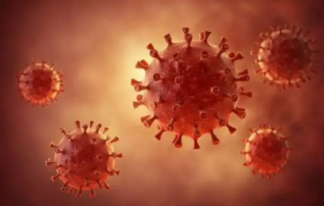 ������ѧ�ұ���Ԥ�⣺��Ȼ�ֺ����ܽ�ʹ�ձ����ɱ�����������