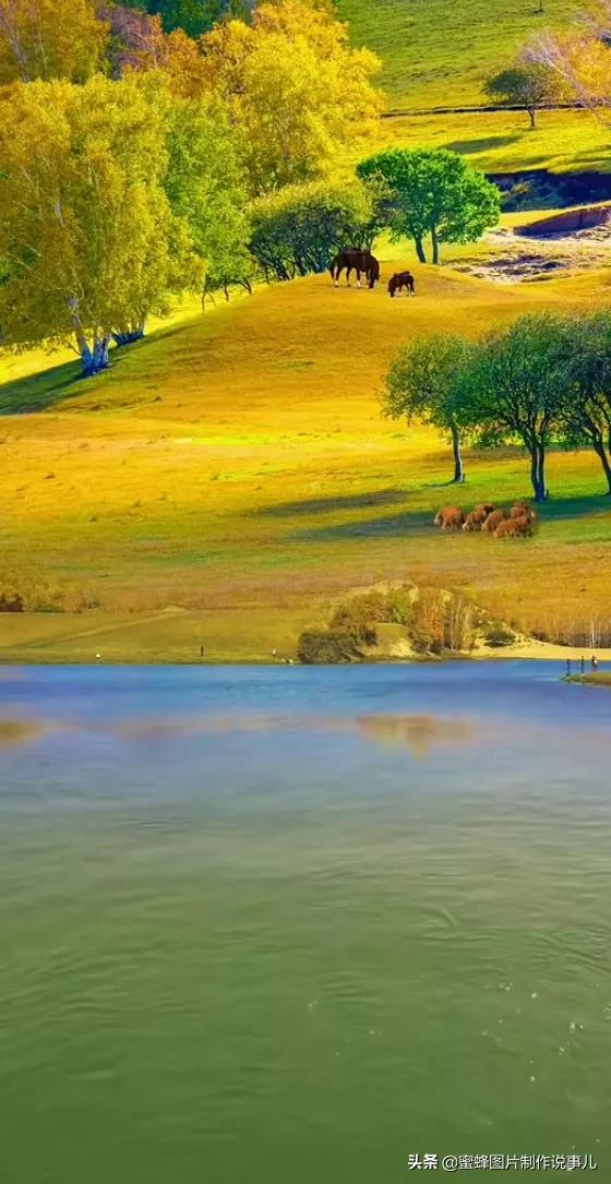 形容心情风景优美的句子1,身未动,心已远.
