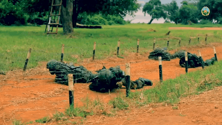 ¬�����ʦ�ˣ�������ѵ��������ʶ������ǹ������������ѧ����