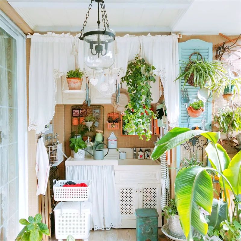 阳台花园，在这个面积不大的地方造梦，美了岁月，醉了时光