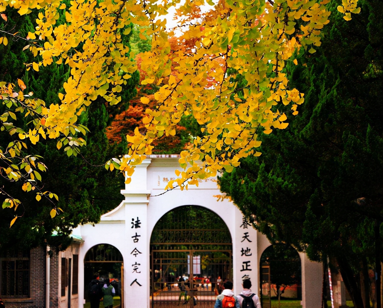 苏州大学有哪些王牌专业？这4个专业，是全国顶尖水准，就业率高