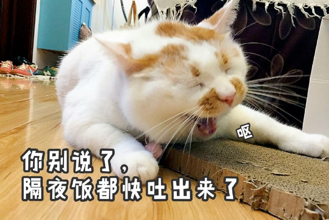 九锤配音