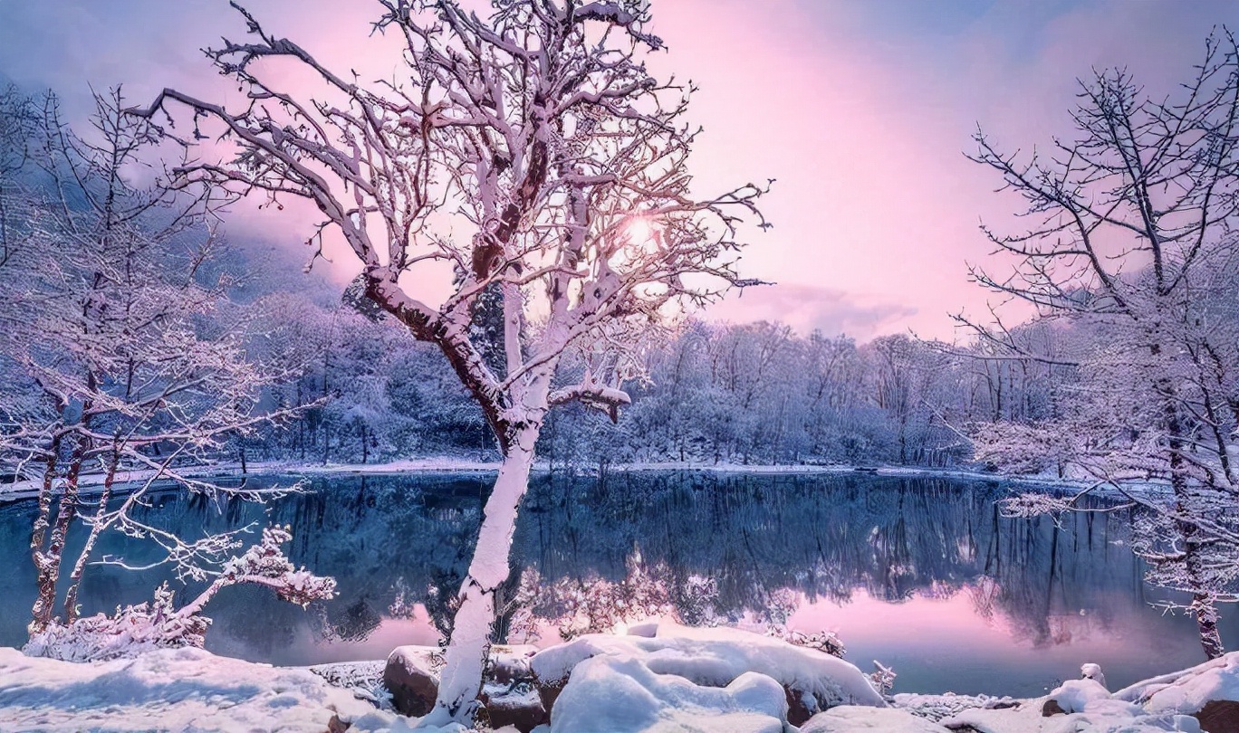 雪后阳光唯美图片图片