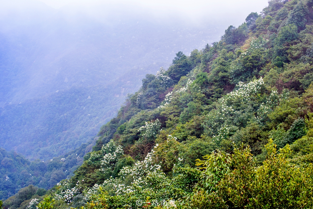 桂峰山在哪（被誉为后花园的广州郊区桂峰山）