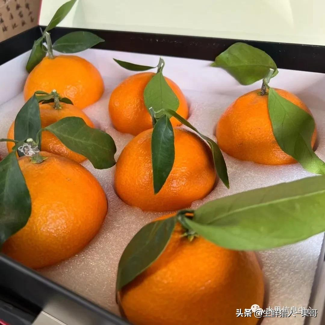 春见是春天的水果吗英语翻译怎么说(春见是春天的水果吗英语翻译怎么说呢)