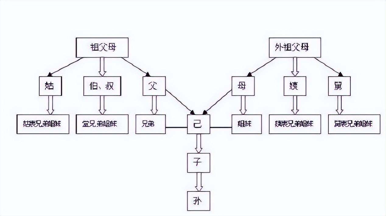 直系亲属包括哪些兄弟姐妹吗（直系亲属包括兄弟姐妹的配偶吗）-第2张图片-昕阳网