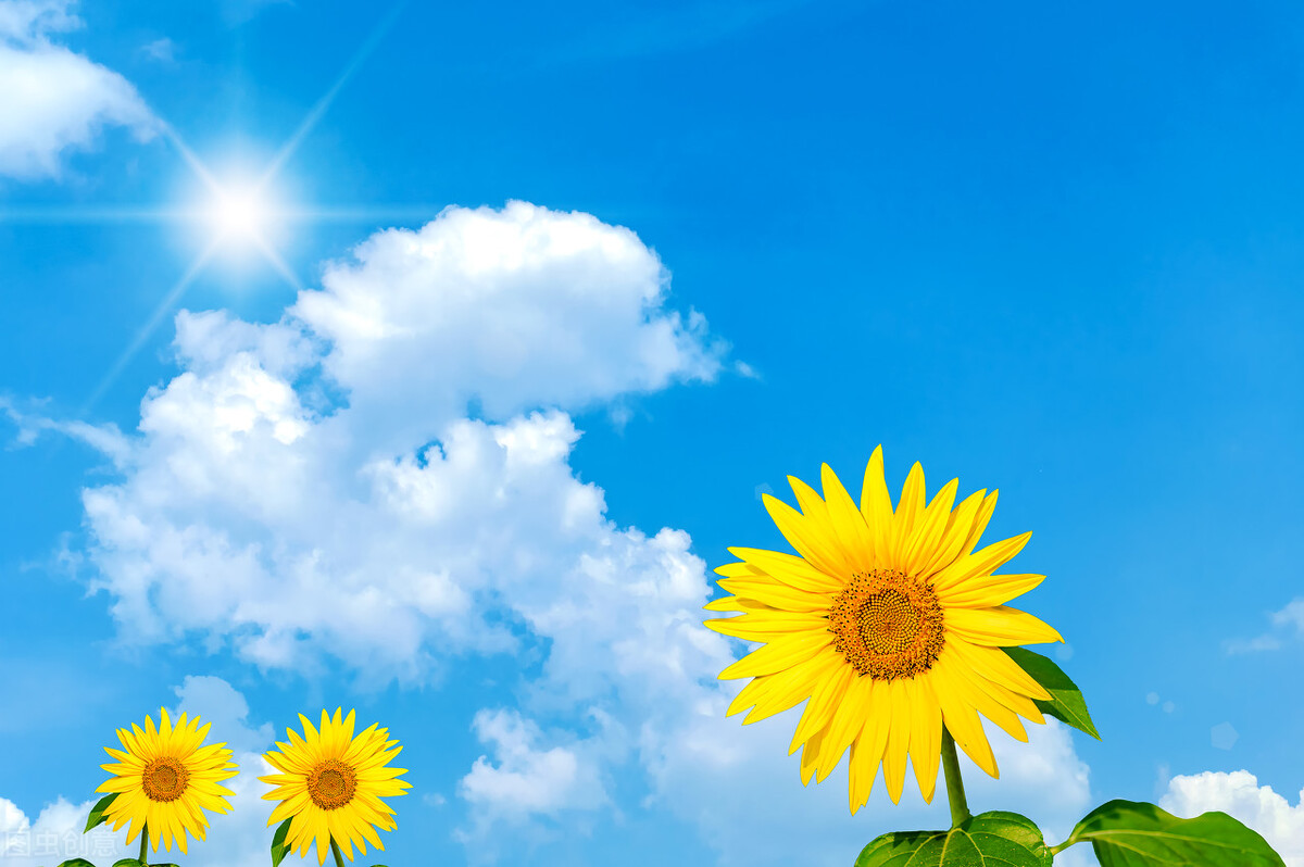 关于早晨的唯美句子「描写早晨的句子唯美 」_爱阅读