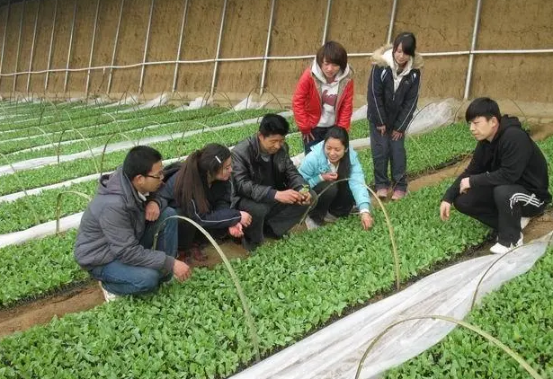 一所越来越“冷清”的985大学，学生不愿报考，遇山体滑坡式下降