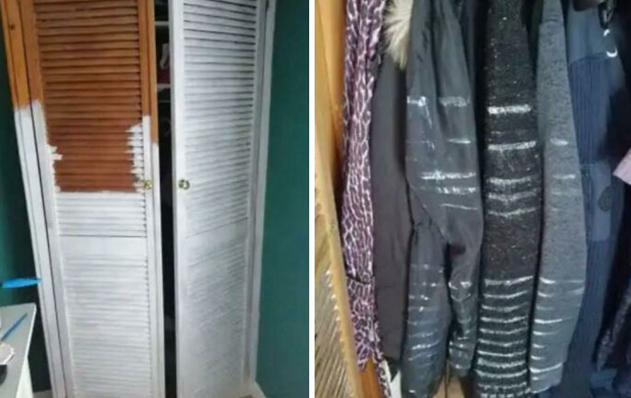 30个倒霉瞬间，装修房子的时候不要放出宠物，师傅在墙上画蟑螂