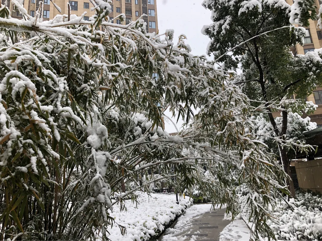 一场大雪一场欢，打雪仗、堆雪人，像小孩子一样激动兴奋