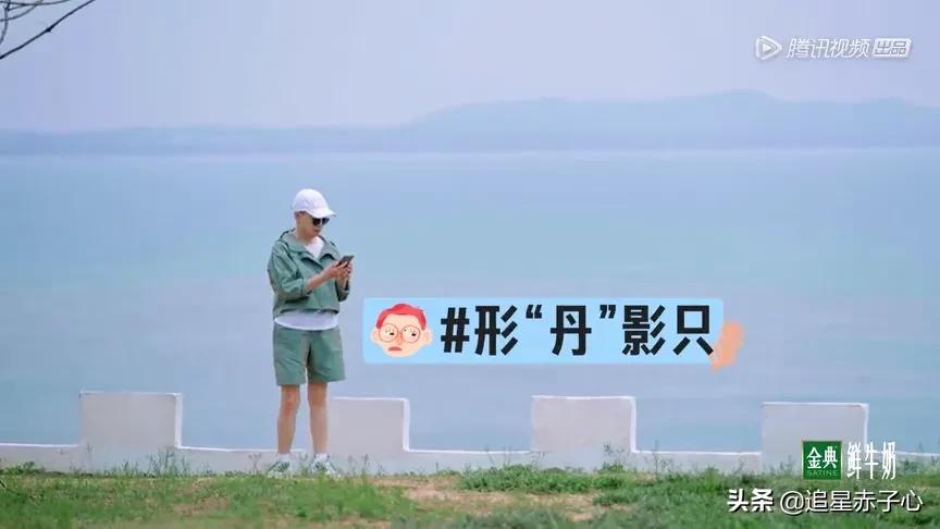 《桃花坞》：把制造尴尬当做是一种传统，这跟自虐自残有什么区别