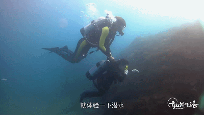 “我爱摇滚，我有病。”