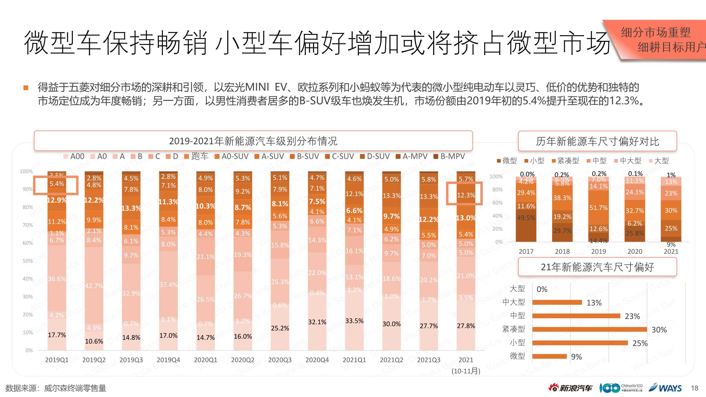 2021新能源乘用车市场白皮书（新浪汽车）