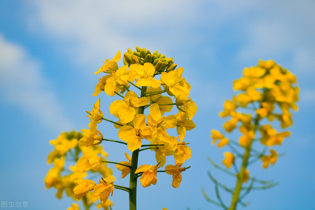 最厲害的三個星座 天天看點