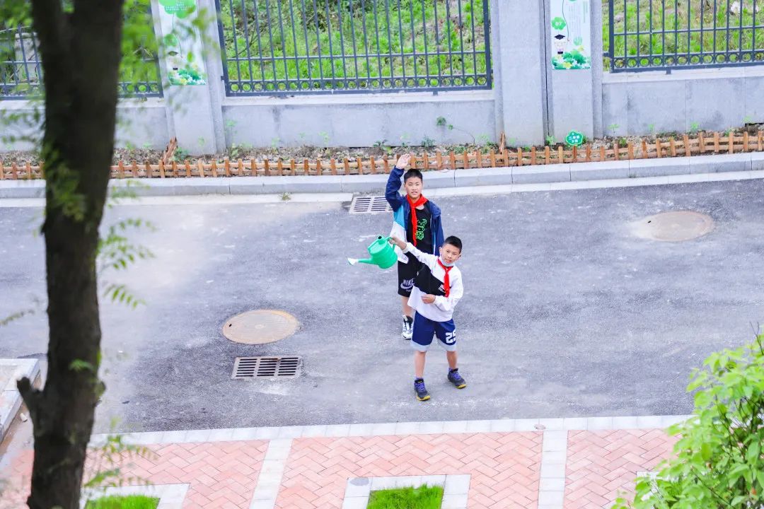 「责任教育 劳动课程」成都市双流区黄甲小学开发特色劳动种植课程