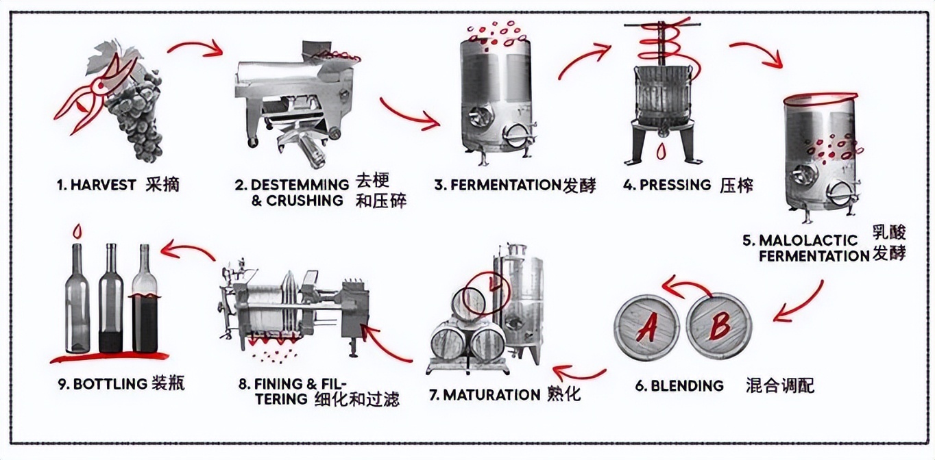 红酒工厂制作过程图片