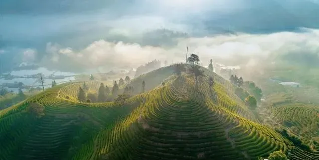 武夷山大红袍｜心灵随茶香弥漫，感受那空灵仙境的山涧茶旅