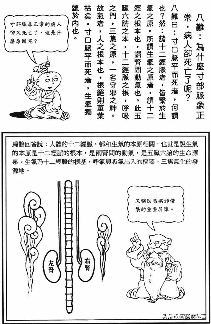 《漫画版八十一难经》第八难：为什么寸脉正常，病人却死亡了？