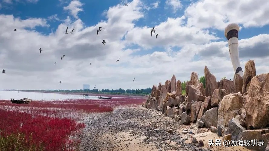 营口记忆丨营口人，正在见证从未有过的历史