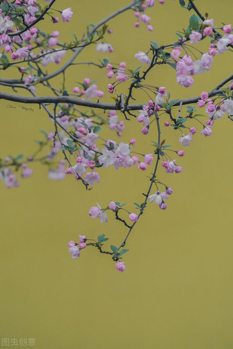 唯美意境风景带句子壁纸