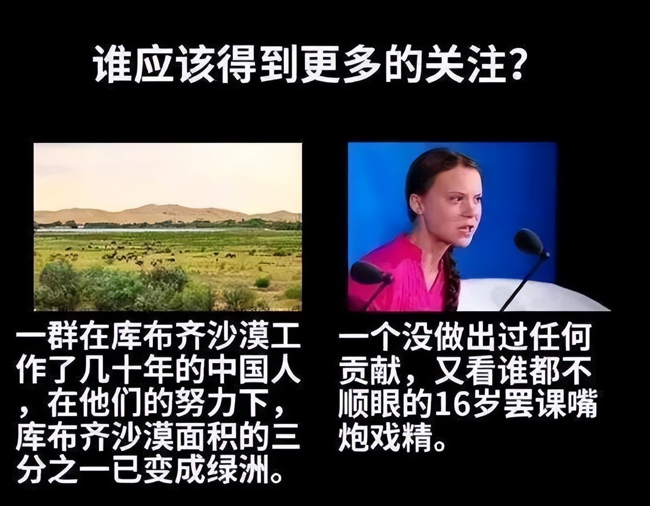 舆论战的奇迹，中国每年强迫数亿棵新树被种植