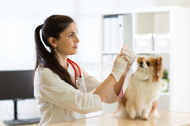 狗狗第一针疫苗什么时候打（狗狗第一针疫苗什么时候打好）