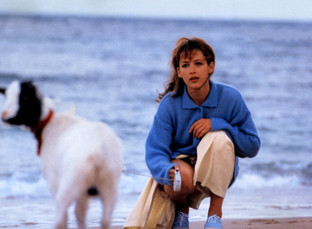 苏菲·玛索为艺术牺牲的这部法国尺度电影,我不允许你们只看一遍