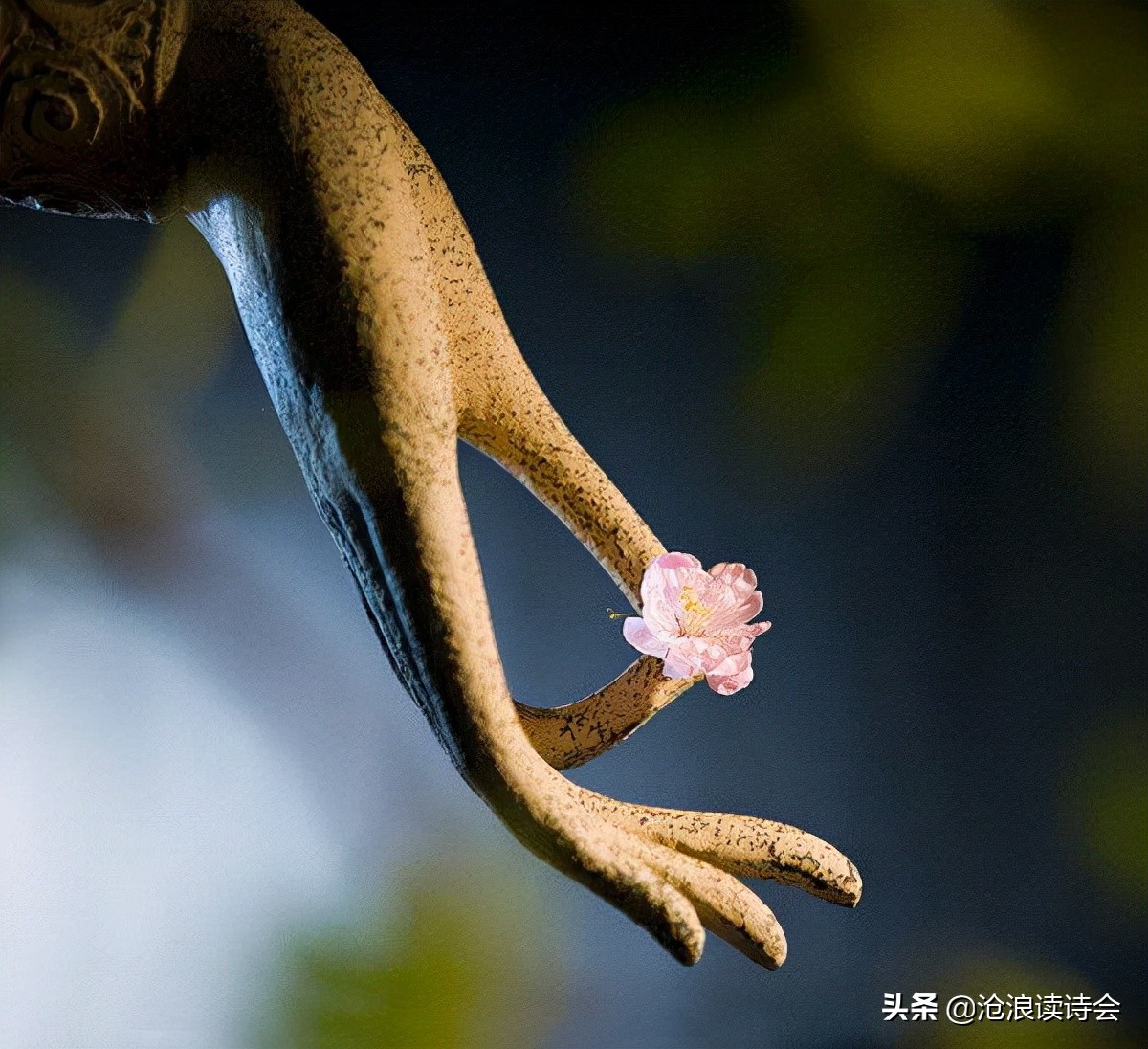 我有心花一朵，玲珑写人生，当代有好诗，27首佳作写出人间烟火色