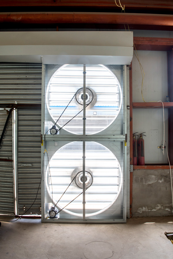 为什么最大的比特币挖矿企业在中国