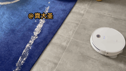 拖地哪家强？四款热销扫拖机器人实测（石头/云鲸/360/科沃斯）