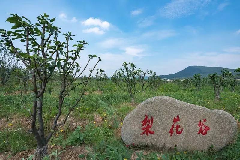 江苏十大冷门景点，人少景美好玩