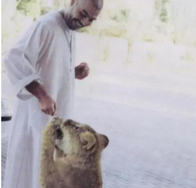 萨达姆之子有多残暴？中东地区的“混世魔王”，伊拉克的噩梦